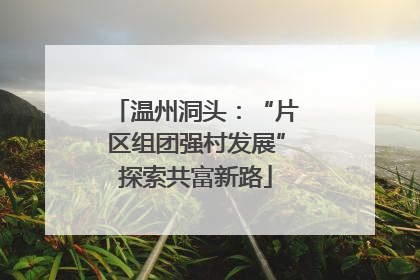 温州洞头：“片区组团强村发展”探索共富新路